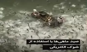 فیلم| صید بی‌رحمانه ماهی در کنتاکی آمریکا