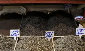 قیمت‌ چای اوج گرفت/ کیلویی۳۰ تا ۱۲۰ هزار تومان!