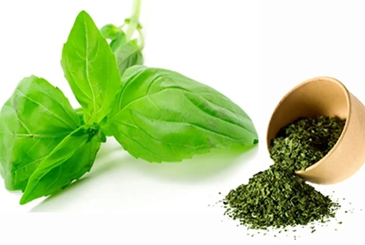 قیمت سبزی خشک بسته بندی کارخانه + قیمت