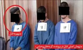 اعترافات تکان دهنده «گربه های وحشی» در مشهد
