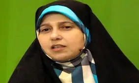 سلحشوری: در بین اصلاح طلبان هنوز وفاق کلی درمورد حضور در انتخابات وجود ندارد / شاید ورود زودهنگام رئیس دولت اصلاحات به خاطر این بود که نزاع های درونی کمتر رخ دهد