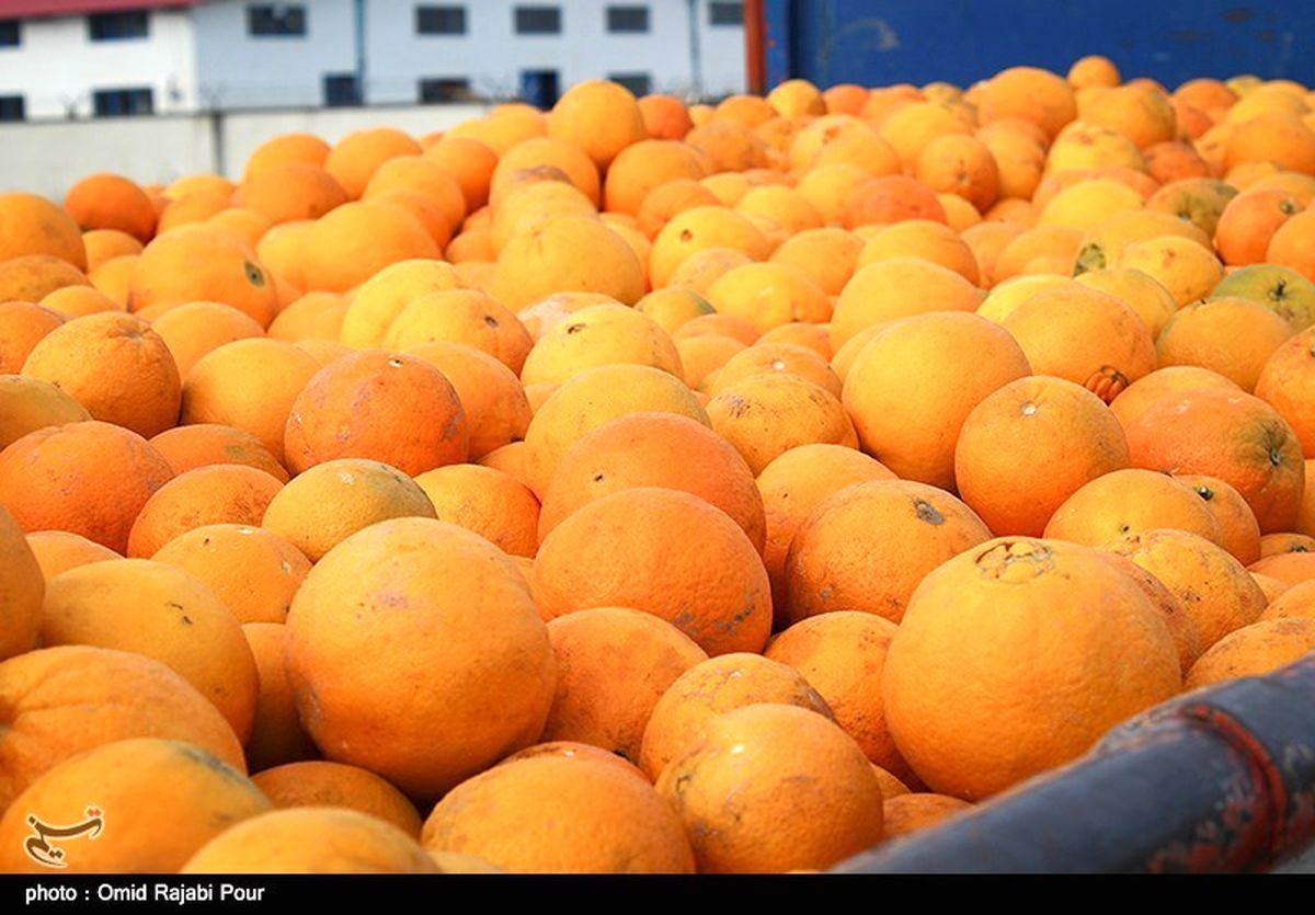 میوه‌هایی که بوی "گرانی" می‌دهد/ قیمت‌ میوه در بازار اصفهان باور کردنی نیست