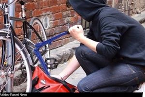 سرقت دوچرخه های شهروندان تهرانی با همکاری مادر