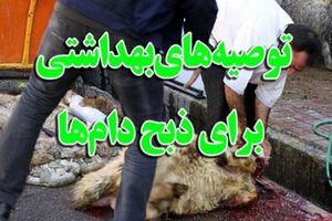 مدیرکل دامپزشکی کرمانشاه: گوشت قربانی را فورا نخورید