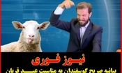 ویدیو| اعتصاب گوسفندان خبرساز شد