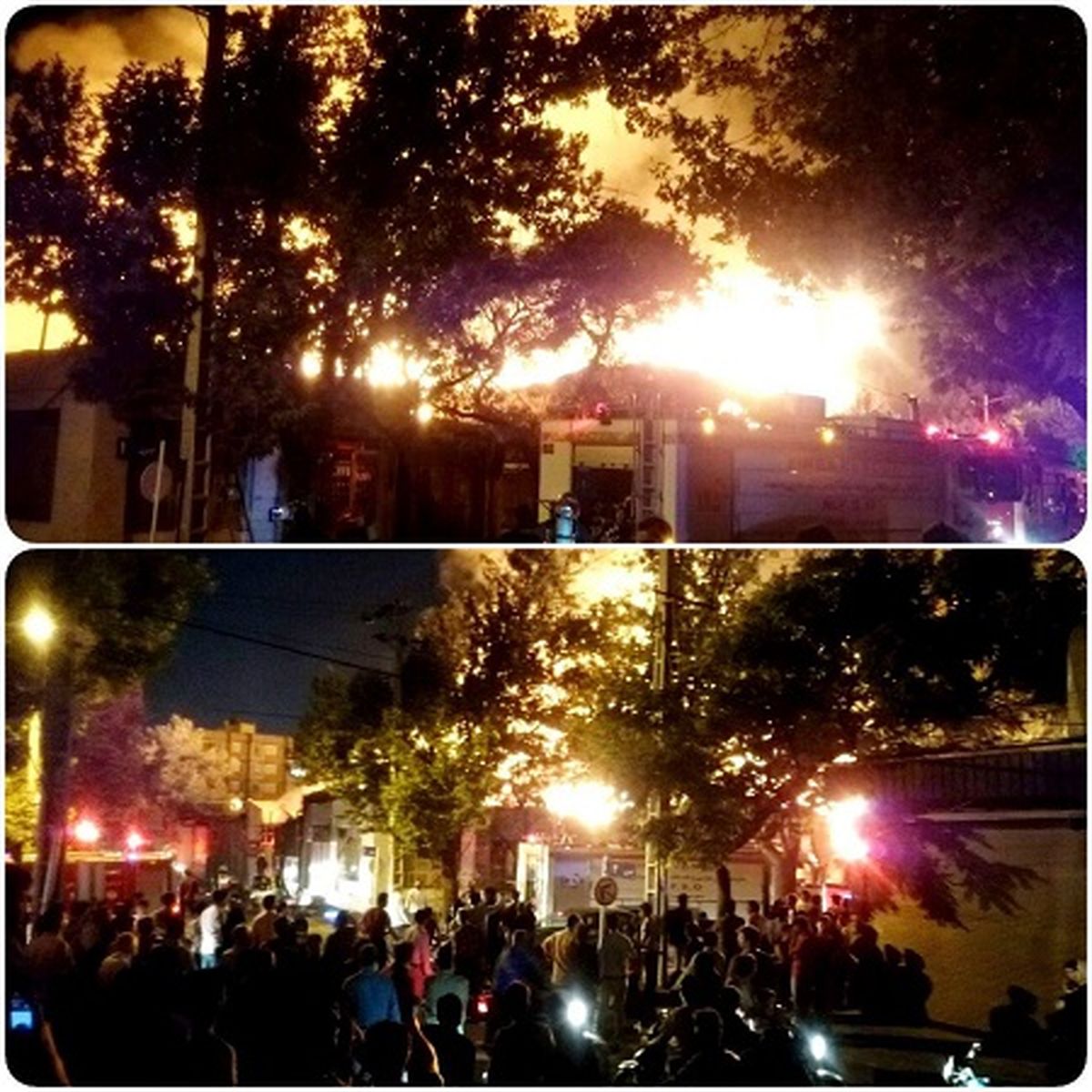 آتش سوزی انبارهای چوب در میدان توحید مشهد