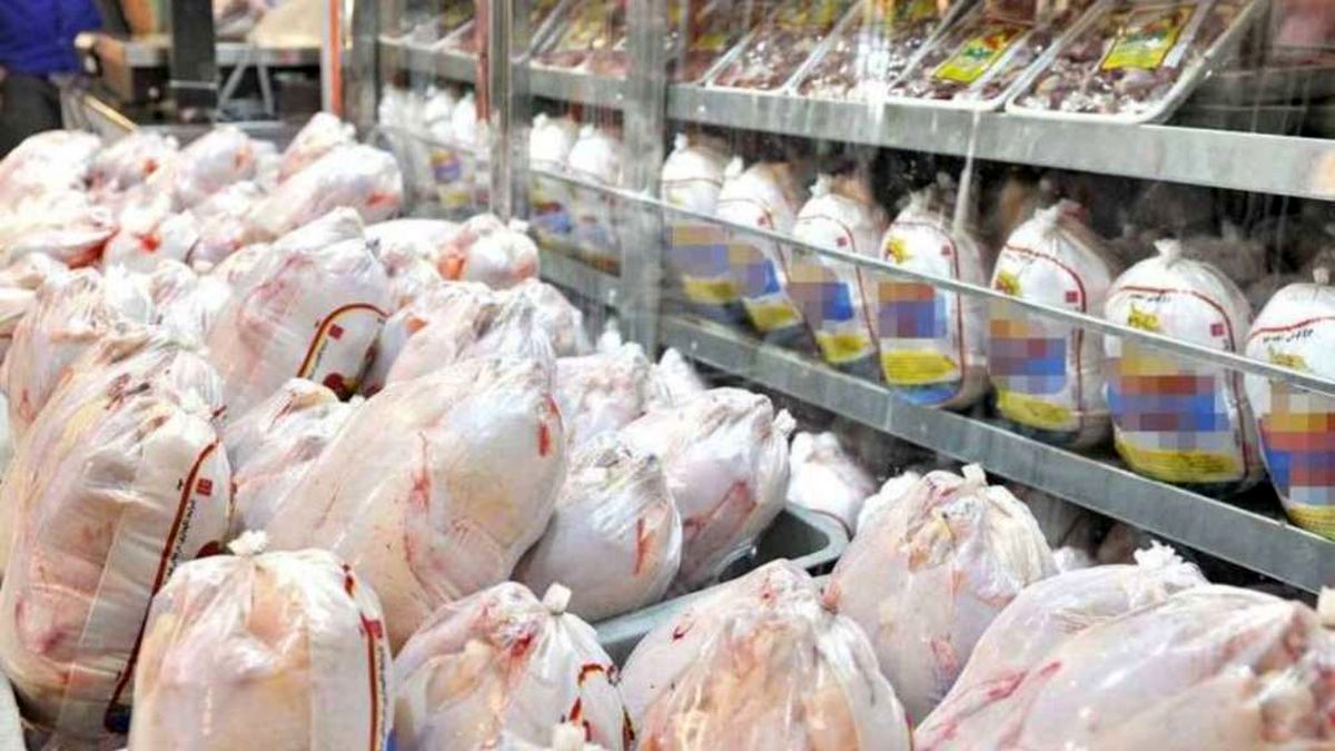 ثبات نرخ مرغ در بازار ادامه دار شد/ قیمت هر کیلو مرغ ۱۵ هزار و ۵۰۰ تومان