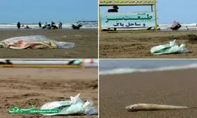 با طبیعت مهربان باشیم+ عکس