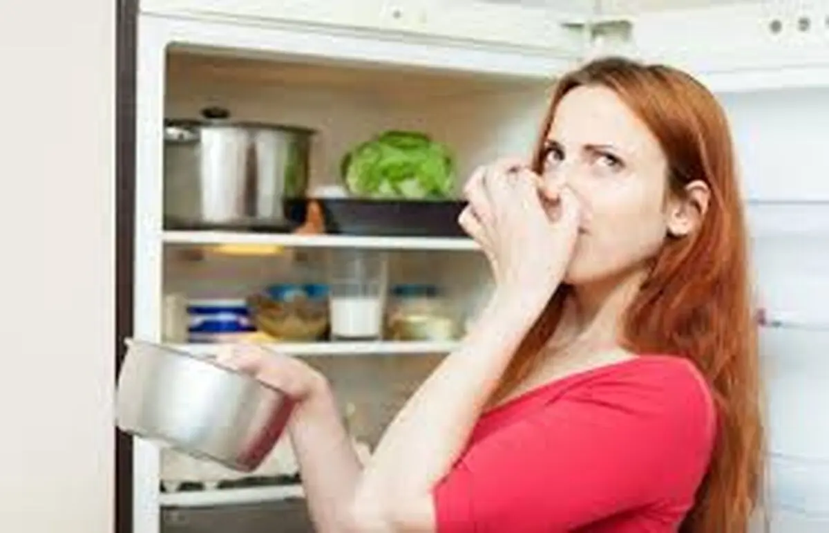 روش های ازبین بردن بوی بد یخچال برای عید