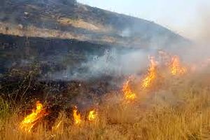 25هکتار از اراضی و مراتع تکاب در آتش بی احتیاطی سوخت