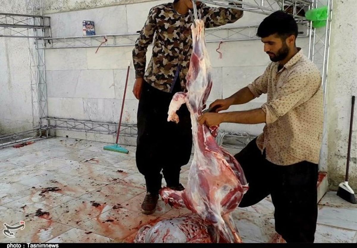 رونمایی از مشکلی که مانع انتقال گوشتهای قربانی به ایران شد