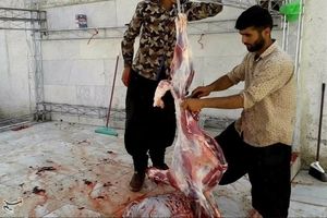 رونمایی از مشکلی که مانع انتقال گوشت‌های قربانی به ایران شد