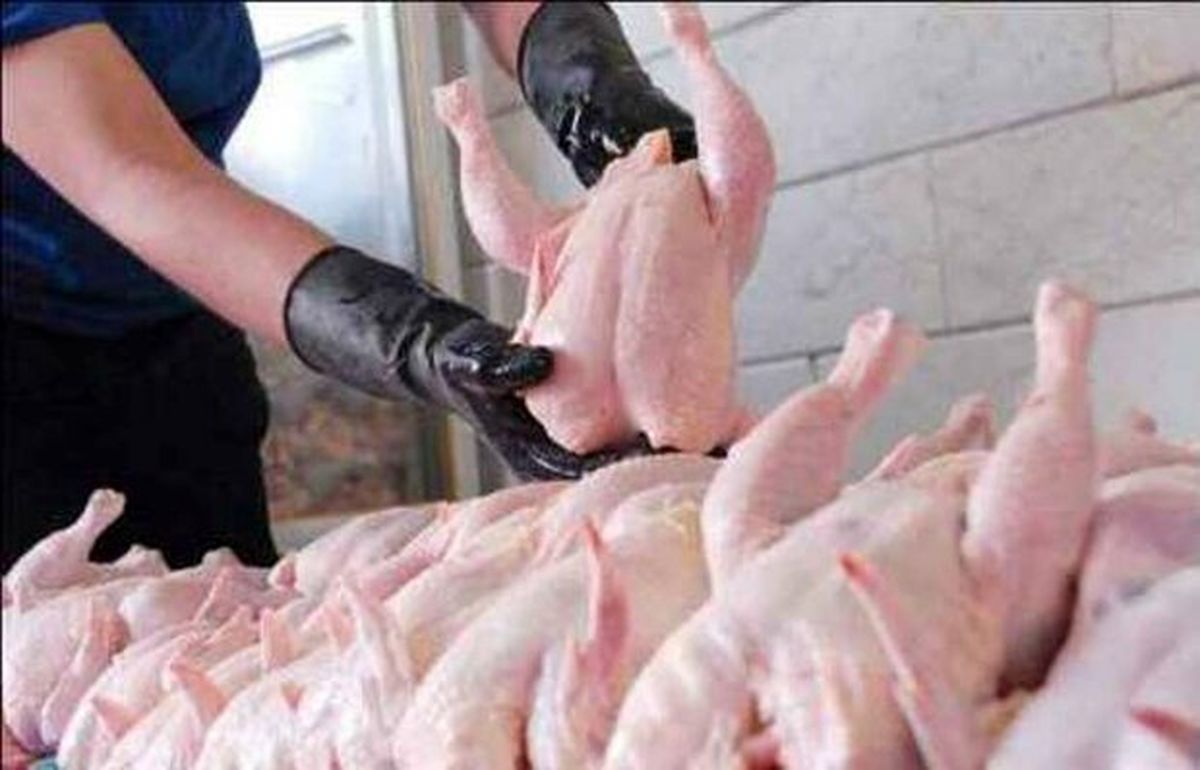 2دلیل افزایش قیمت تمام شده تولید مرغ