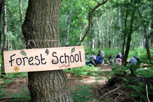 مدارس طبیعت در جهان چه کار می‌کنند؟