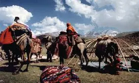 عشایر از رفتن به حاشیه رودخانه‌ها اجتناب کنند / تشدید مراقبت کشاورزان از گلخانه‌ها