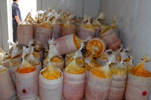 امحای 8.5 تن تخم مرغ احتکار شده فاسد در آذربایجان شرقی