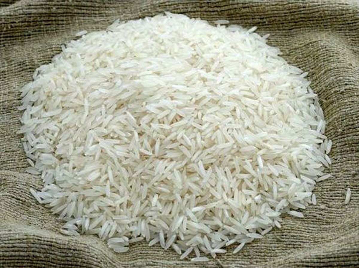 کشت جدید و احتمال انفجار قیمت/ قیمت برنج دو برابر می‌شود؟