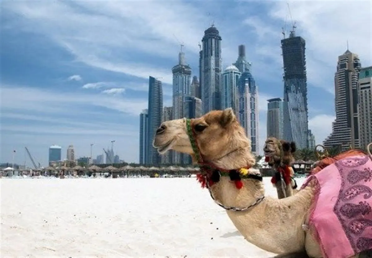 چرخش امارات به سمت ایران/ کانال‌های مالی برقرار شده/ تعاملات نفتی و غیر نفتی دوباره افزایش می‌یابد