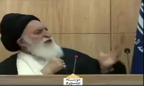 آیت‌الله علوی بروجردی: مرجعیت در شیعه دستوری نیست +فیلم