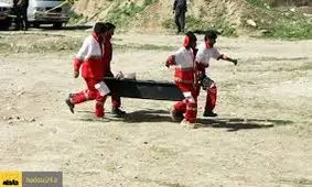 سقوط وحشتناک به دره به خاطر وحشت از زنبور گاوی