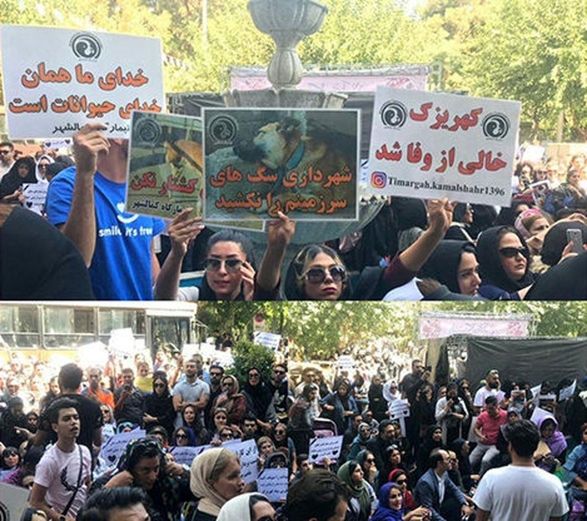 بازداشت اعتراضکنندگان به سگکشی مقابل شهرداری تهران
