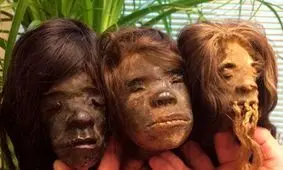 راز هولناک سرهای بردیده در این جنگل / سنت هایی با چاشنی وحشی‌گری+ تصاویر