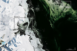 مشاهده یخ‌های سبز در قطب جنوب +تصاویر