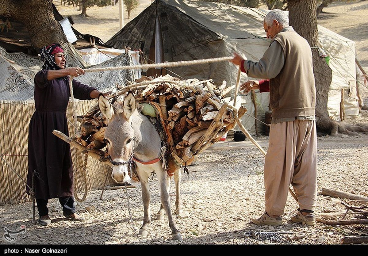 ۱۴۰۰۰ خانوار عشایری هنگام کوچ بهاره وارد استان کرمانشاه می‌شوند