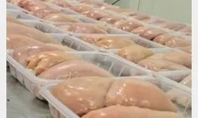رئیس اتحادیه صنف فروشندگان پرنده و ماهی: قیمت مرغ کاهش می‌یابد، از 20 روز دیگر
