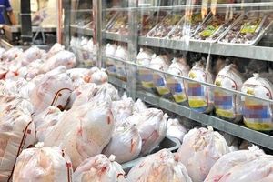 قیمت مرغ به ۱۴.۵۰۰ تومان رسید