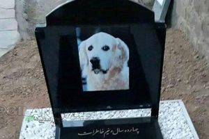 مراسم لاکچری برای خاکسپاری یک سگ در مسجد سنگر رشت