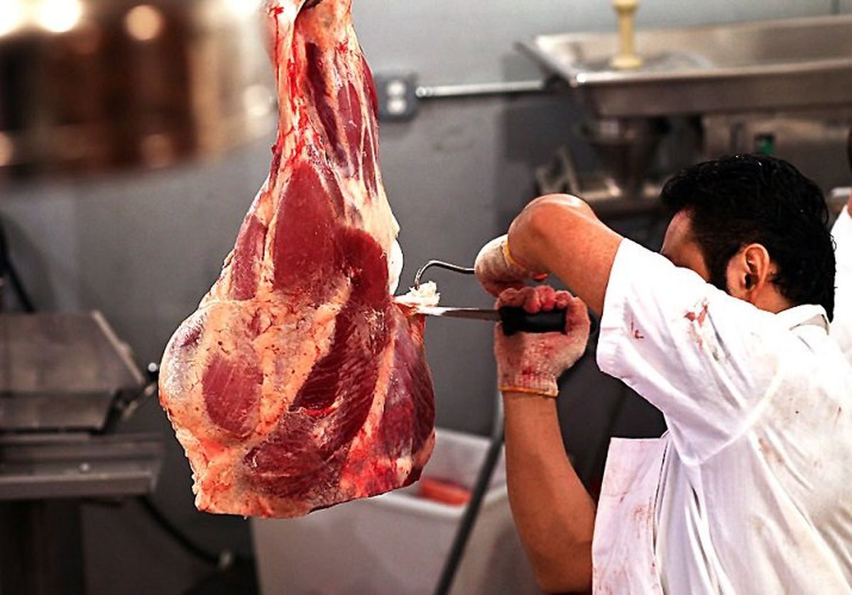 دبیر شورای تامین کنندگان دام: قیمت گوشت قرمز تا ۶۵ هزار تومان کاهش می‌یابد