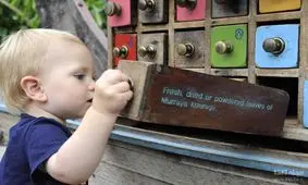 تست روانشناسی/ تا چه اندازه کنجکاو هستید؟