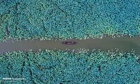 برندگان مسابقه عکاسی با پهپاد+ عکس