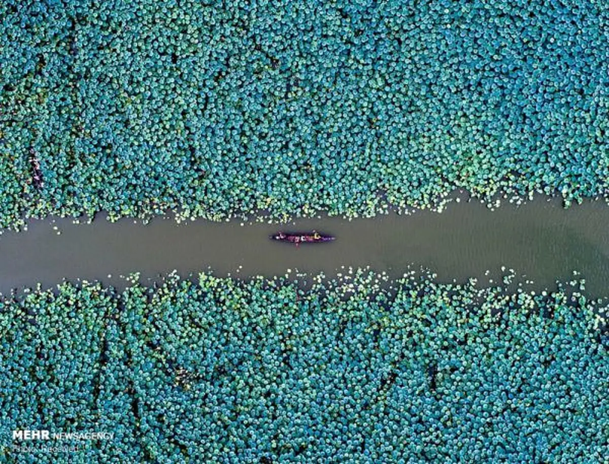 برندگان مسابقه عکاسی با پهپاد+ عکس