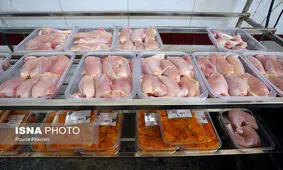 دادستان اردبیل خبر داد: نظارت دقیق و مستمر بر عرضه گوشت قرمز و سفید