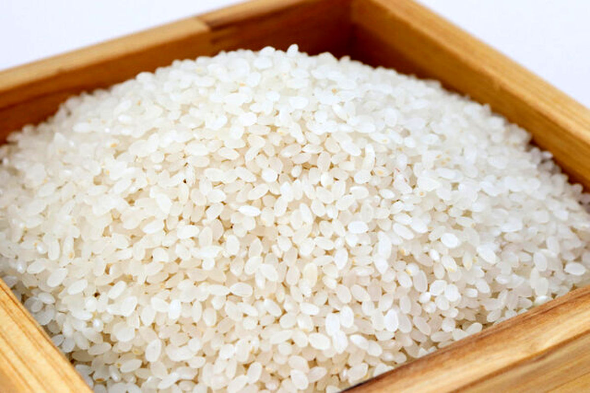 قیمت رسمی برنج خارجی اعلام شد / برنج پاکستانی باسماتی ۸۹۰۰ تومان / برنج هندی ۸۰۰۰ تومان