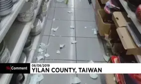 واکنش گربه‌ها به زلزله ۶ ریشتری در تایوان