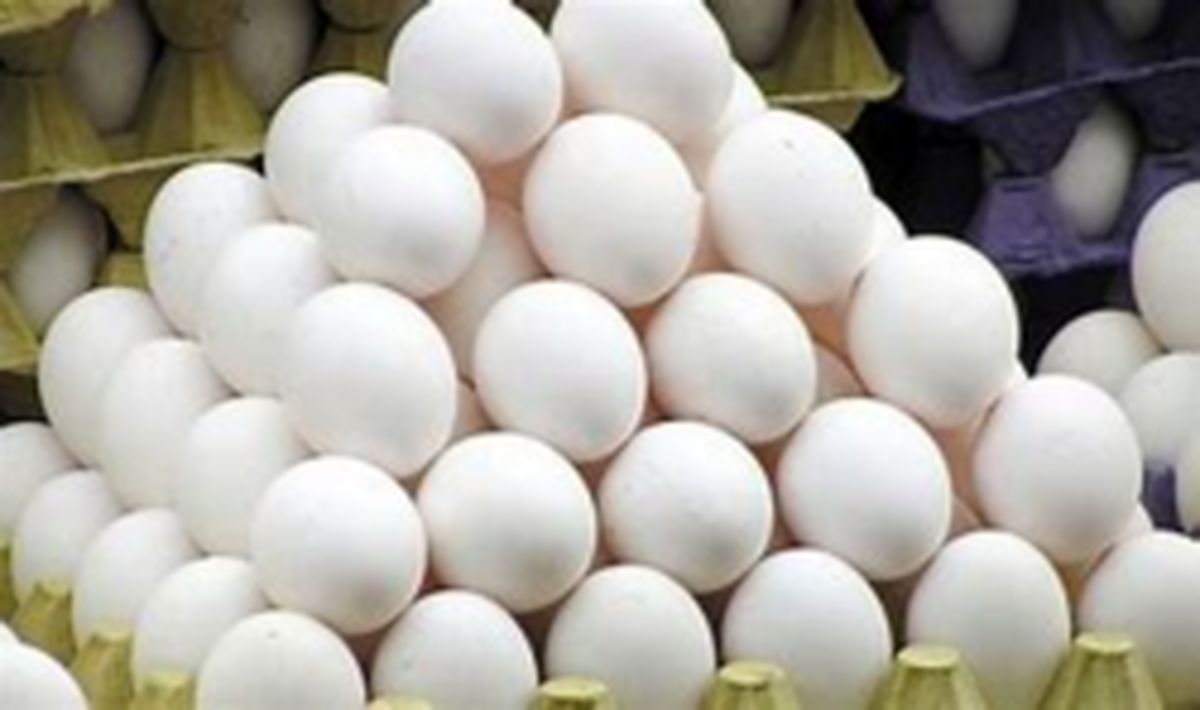 زیان ۱ هزار و ۴۰۰ تومانی مرغداران در فروش هر کیلو تخم مرغ/ صادرات تخم مرغ به ۱۲ هزار تن رسید