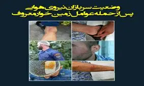 تعرض زمین خواران به پادگان نجات خدمه نیروی هوایی ارتش / زمین خواران به دنبال باند فرودگاه! +جزئیات