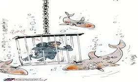 این مربی‌های لیگ برتری در محاصره کوسه‌ها هستند!