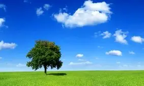 مشهد، روزی سالم را پیش‌رو دارد