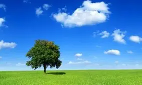 مشهد، روزی سالم را پیش‌رو دارد