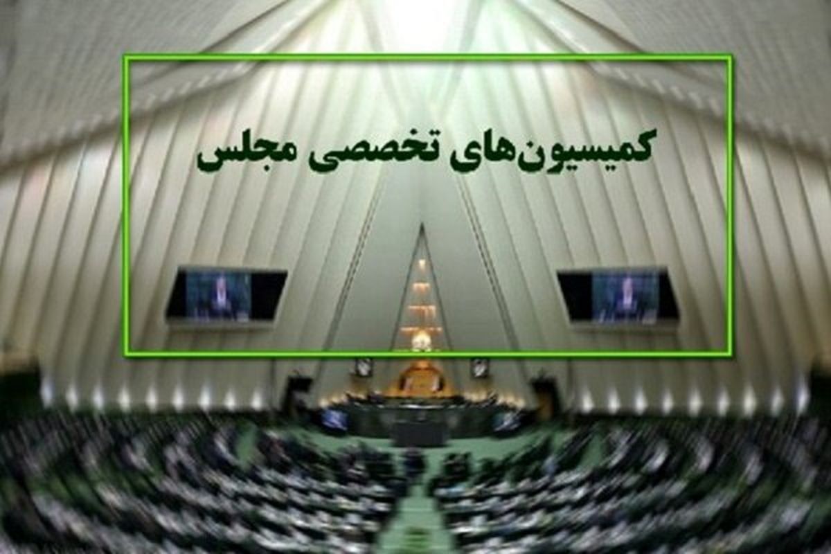 نشست کمیسیون اجتماعی با«رئیسی»/بررسی انحراف وزارت نفت از بودجه ۹۶