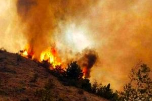 وقتی که ارتش، غفلت دولت از آتش‌سوزی جنگل‌ها را جبران می‌کند