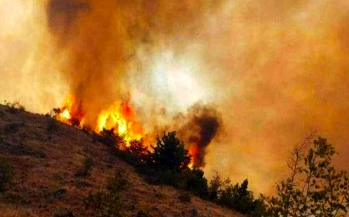 وقتی که ارتش، غفلت دولت از آتش‌سوزی جنگل‌ها را جبران می‌کند