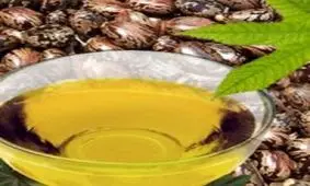 روغن کرچک؛ مبارزی توانمند در برابر نازک شدن مو!