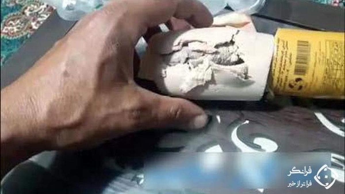 پیدا شدن موش داخل بسته بندی کالباس +عکس