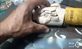 پیدا شدن موش داخل بسته بندی کالباس +عکس