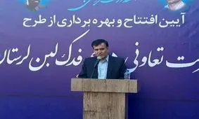 ۲۰۰ میلیارد تومان وام اشتغال روستایی در لرستان پرداخت می شود